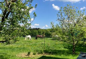 Wohnung mit Bergblick – FeWo mit Bergblick, 60qm & Balkon