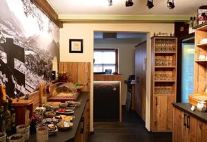 Hotel Garni *** Landhaus Traunbachhäusl – Doppelzimmer mit Dusche und WC, TV, teilweise Balkon, WLAN