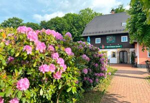 Pension Forsthaus Hain – Doppelzimmer Kat. A