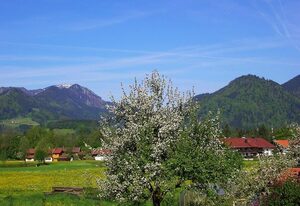 Landhaus Heinrich inkl. Chiemgaukarte – II. Ferienwohnung 57qm, Terrasse, 1 Schlafzimmer, 1 Wohnschlafz., Hochfellnblick