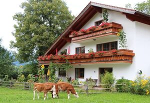 Landhaus Heinrich inkl. Chiemgaukarte – II. Ferienwohnung 57qm, Terrasse, 1 Schlafzimmer, 1 Wohnschlafz., Hochfellnblick