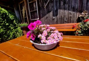 Ferienwohnung Schneckenpointner – Ferienwohnung, EG, Gartenblick, 43qm