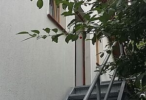 Ferienwohnung Franze
