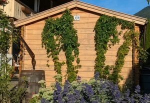 Lieblingsort / Ferienwohnung – Ferienwohnung 73 m², 1-4 Personen, 2 Schlafzimmer, Balkon, eigener Garten