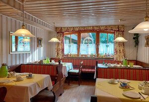 Parkhotel Ruhpolding inkl. Chiemgaukarte – Nr. 03 Fröhliches Einzelzimmer (12 qm) mit Terrasse und tollem Bergblick, Dusche/WC, TV, WLAN