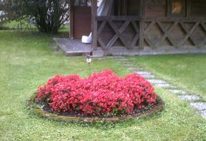 Haus Alpenblick inkl. Chiemgaukarte – Ferienwohnung Westernberg 38qm, Balkon, 1Schlafzimmer, Wohnschlafzimmer, WLAN