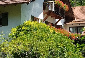 Apartment "Bed and Breakfast"