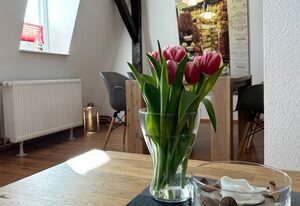 Ferienwohnung Süd
