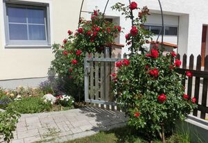 Weberhof – Ferienwohnung 1.OG