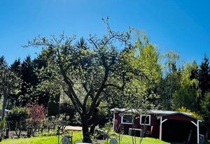 Ferienwohnung Am Wald