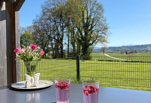 Ferienwohnung Alpenblick