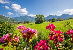 Ferienwohnung Hörndlwand inkl. Chiemgaukarte – Ferienwohnung Hörndlwand Ruhpolding 56qm; Balkon, Wohnschlafzimmer, Küche,  2 P.