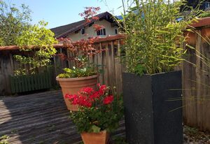 Ferienwohnungen Schneiderhäusl inkl. Chiemgaukarte – Ferienwohnung 3 für max. 2 Personen (30qm)