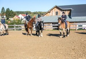 Ferienwohnungen Gutshof Schirgiswalde – Ferienwohnung "Flieder"