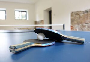 Ferienwohnungen Gutshof Schirgiswalde – Ferienwohnung "Flieder"