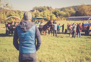 Ferienwohnungen Gutshof Schirgiswalde – Ferienwohnung "Flieder"