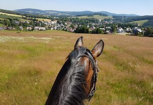 Ferienwohnungen Gutshof Schirgiswalde – Ferienwohnung "Flieder"