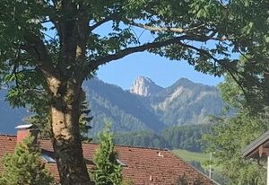 Ferienhaus Haas inkl. Chiemgaukarte – Ferienwohnung Haas 65 qm, 1 Schlafzimmer, 1 Wohnraum, Essküche, Duschbad, WLAN