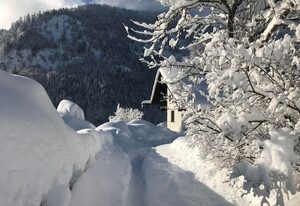 Ferienhaus Am Ampferang, Genewein