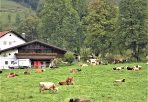 Haus Stadler – Ferienwohnung Bergblick