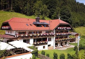 Hotel Blaue Gams – Einzelzimmer