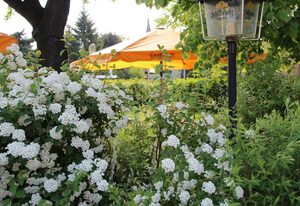 Gasthof & Pension Zur Friedenseiche (Pension) – Doppelzimmer, max. 2 Personen