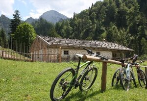 Ferienwohnungen Ortner-Hof inkl. Chiemgaukarte – Apartment Zirbelstubn 25qm, Wohnschlafzimmer, Kochnische, WLAN, max. 2 Pers.