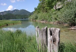 Ferienwohnungen Ortner-Hof inkl. Chiemgaukarte – Apartment Zirbelstubn 25qm, Wohnschlafzimmer, Kochnische, WLAN, max. 2 Pers.