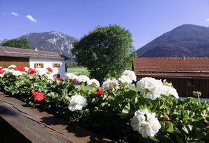 Schifterhof Ruhpolding – Ferienwohnung Bauernhof Südbalkon 36qm, Kochni., 1 Schlaf- und 1 Wohnzimmer