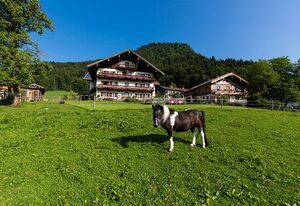 Langerbauer-Hof inkl. Chiemgaukarte – Ferienwohnung Berg Stüberl, 65 qm, Balkon, 2 sep. Schlafzimmer, max. 4 Pers.