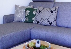 Ferienwohnung Wiesenglück inkl. Chiemgaukarte – Ferienwohnung Wiesenglück (43qm) Balkon, 1 Schlafz., 1WohnKüche, max. 4 Pers.