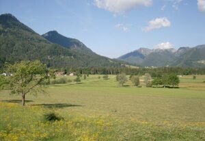 Ferienalm