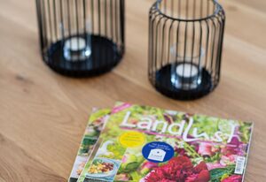 Wellness-Doppelhaushälfte  "Sand" eingezäunt 1.30m