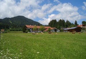 Zoberhof – Ferienwohnung Nr. 5 - Heckenrose (2 Schlafz.)