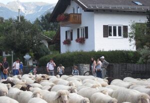Adelia, Ferienhaus – "Franzi" - Fewo/2 Schlafräume/Dusche, WC