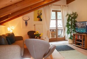 Timo -230-