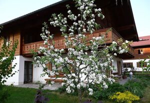 Ferienwohnung Lutz Hans – Ferienwohnung (Nr. 1)