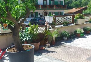 Haus Neuhäusl inkl. Chiemgaukarte – Appartment Zinnkopf 40 qm, Wohnschlafraum mit Boxspringbett, Balkon, Küche