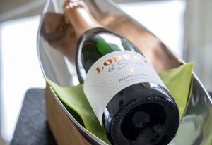 Ferienwohnung Lorenz inkl. Chiemgaukarte – Ferienwohnung Gipfelglück 76qm, Balkon, 1 Schlafzimmer, WLAN, max. 2P., Hunde erl.