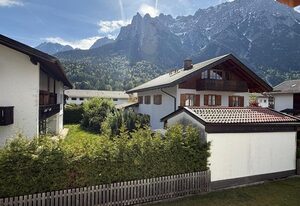 Alpensegler