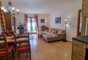 Alpenveilchen -212-