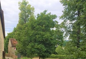 Falkner Turm – Ferienhaus an der Stadtmauer