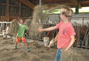 Balsnhof – Ferienwohnung Bauerngarten (70qm) mit Sonnenterrasse