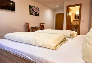 Hotel-Gasthof Altmann – Einzelzimmer mit WLAN