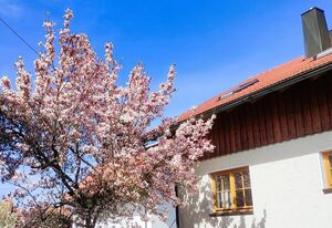 Ferienwohnung zur alten Schmiede – Ferienwohnung für bis zu 8 Personen