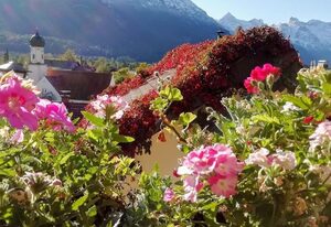 Holler, Ferienwohnungen – Fewo "Sonnleiten", 2 Schlafräume, Dusche, WC