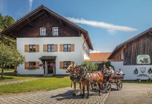 Bayerwald-Ferienhof Schmid – Vogelnesterl