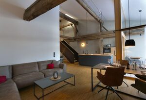 Adlerhaus,  Loft Gerberkreuz -410-