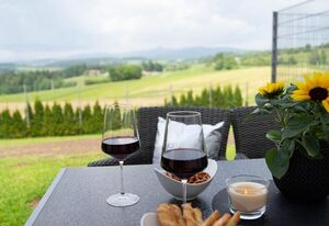 Ferienhaus Pusteblume
