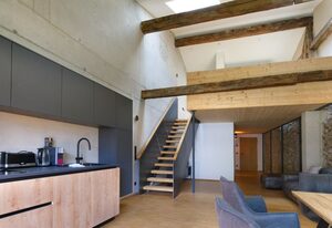 Adlerhaus,  Loft Wörner -410-